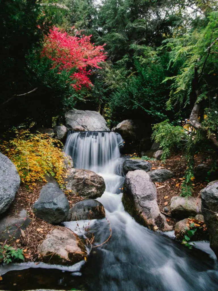 Small waterfall. - Dow Gardens