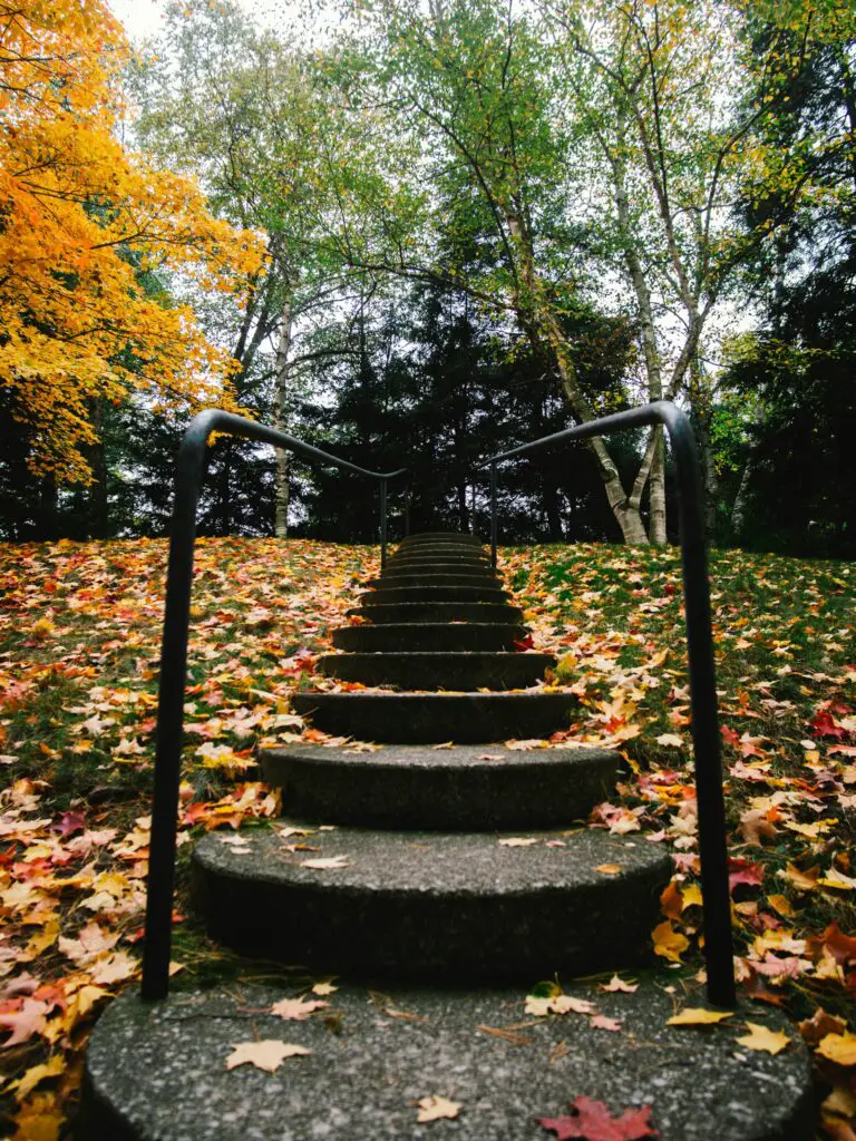 Dow Gardens - Beautiful autumn leaves on steps.