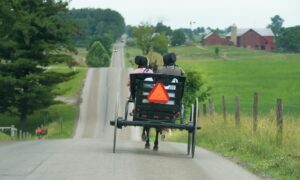 Amish Buggy