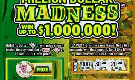 Michigan Lottery winner