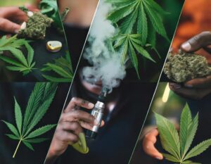 cannabis use trends