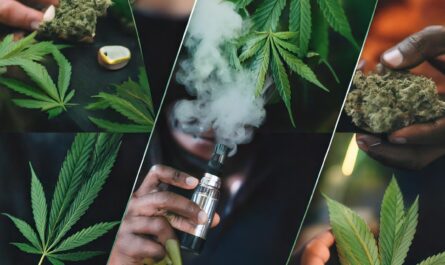 cannabis use trends