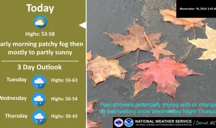 Southeast Michigan weather