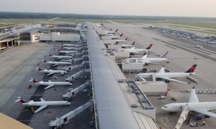 DTW holiday travel