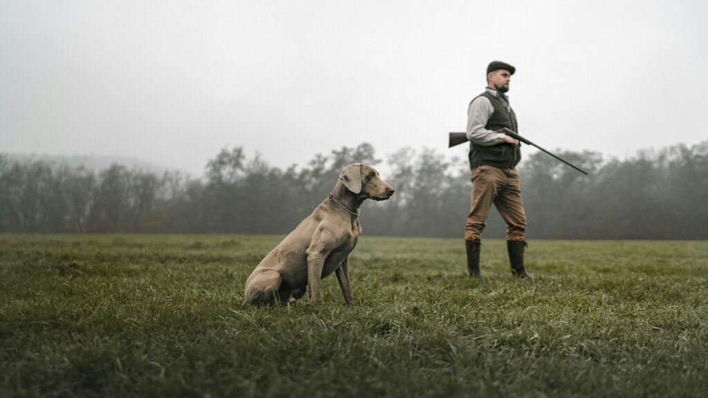 Hunter and dog in misty field.