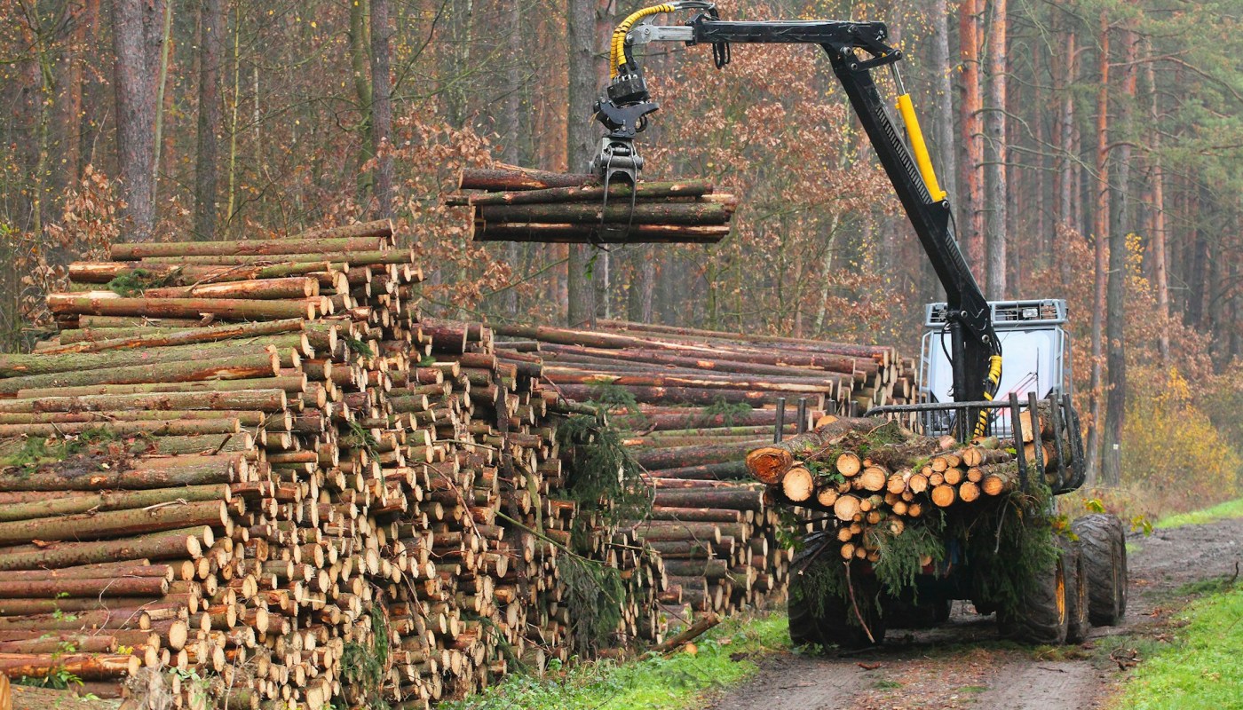 FBI Axes Pentwater Based Lumber Tycoon’s $2M Ponzi Timber Fraud Scheme – Sentenced 41 Months