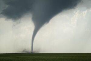 Holly Tornado
