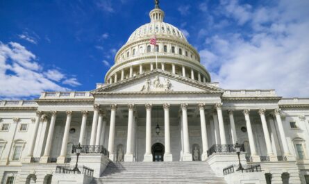 Michigan man Capitol arrest