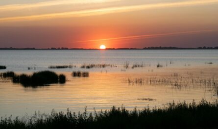 serene lakeside sunset at chascomus argentina