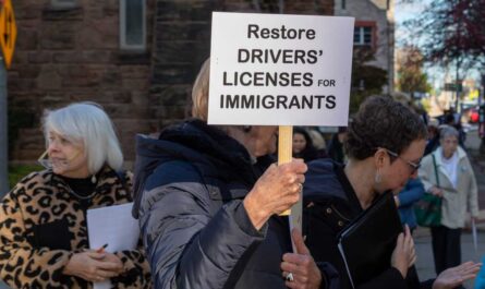 undocumented immigrants