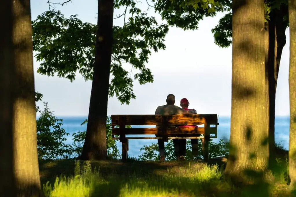 a couple sitting on a bench under trees