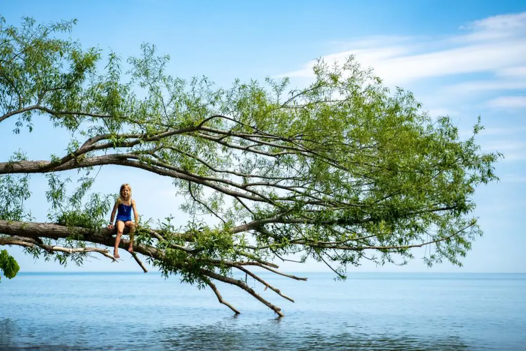 a girl sitting on a tree branch