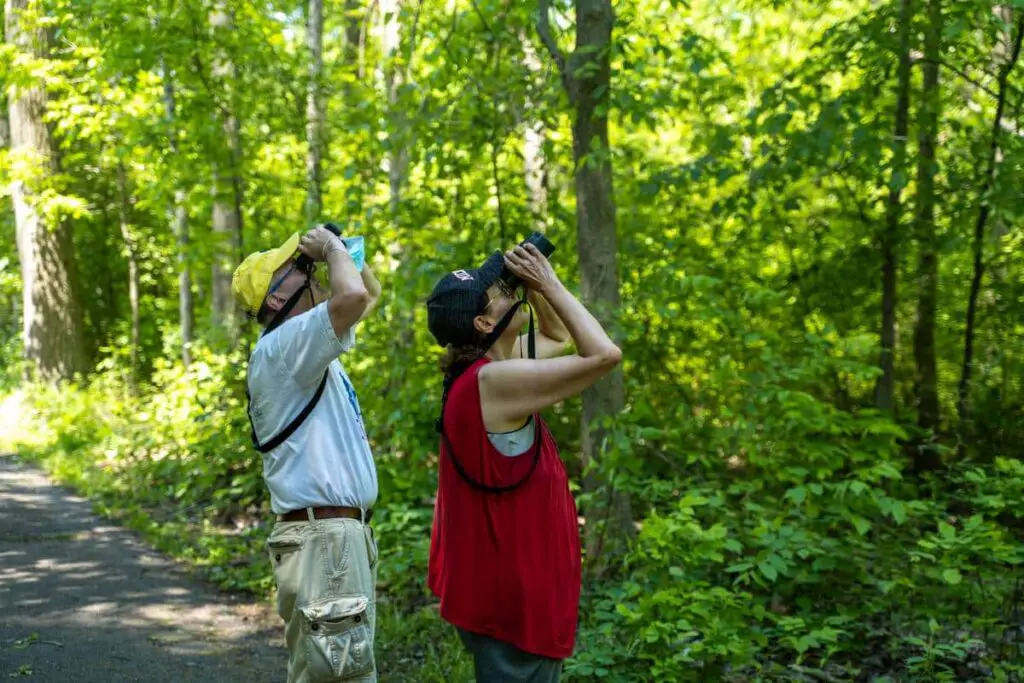 a man and woman looking through binoculars in the woods