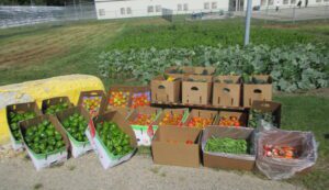 Harvest