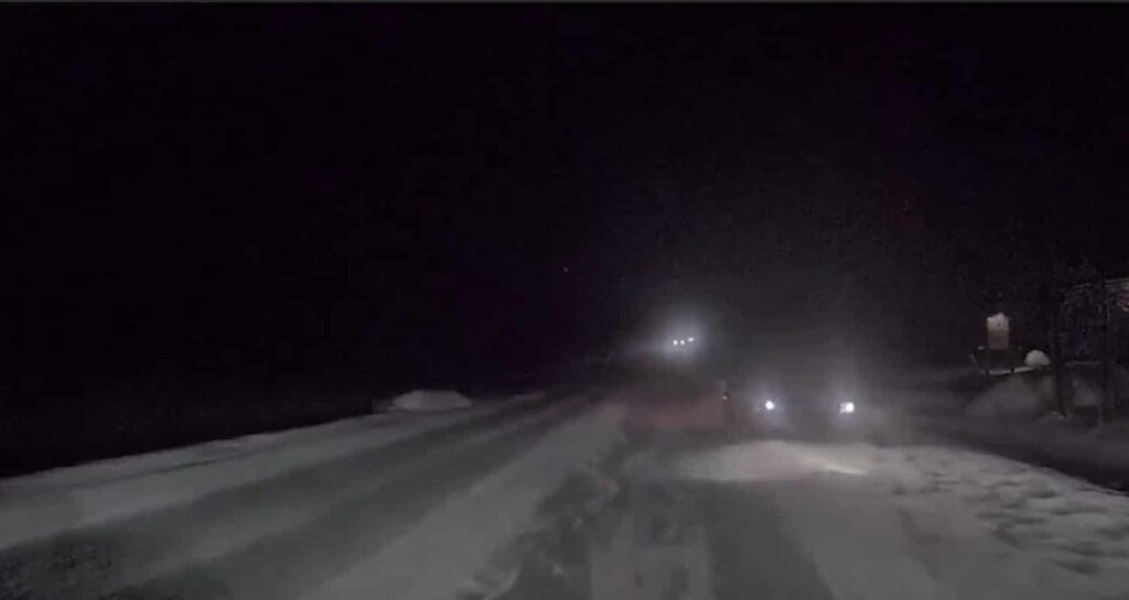 Deer Collision