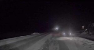Deer Collision
