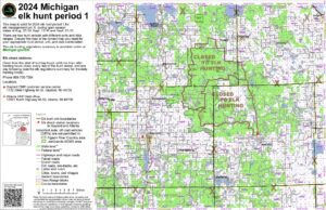 a map of a forest