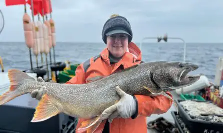 Great Lakes fish populations