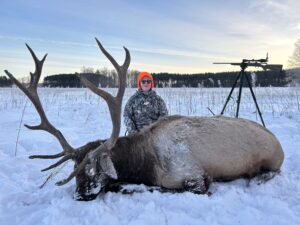 Michigan elk hunting
