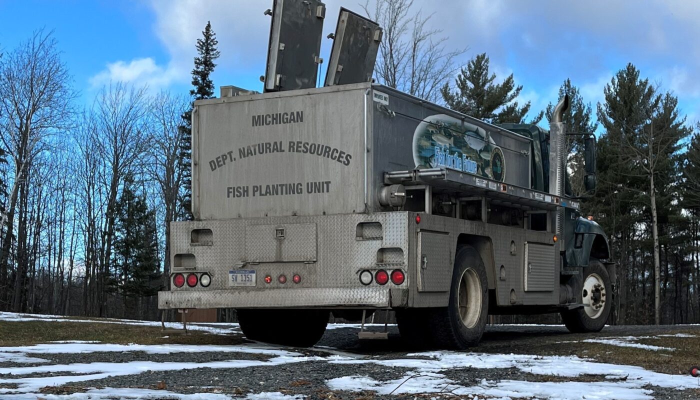 Michigan fish stocking