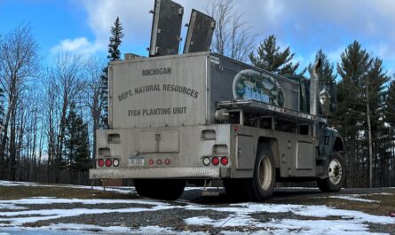 Michigan fish stocking