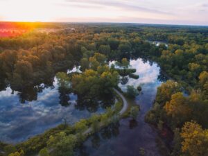 a river surrounded by trees