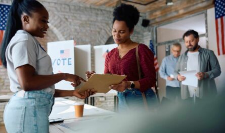 Michigan Voter ID