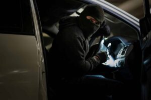 Michigan auto theft