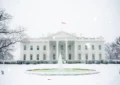 The White House