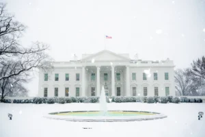 The White House
