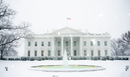 The White House