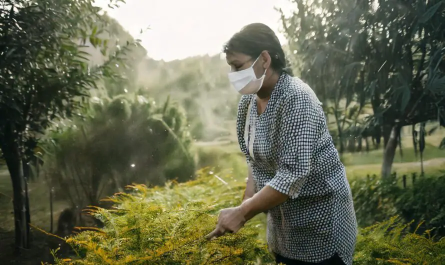 Rising Pollen Levels in Michigan Pose Deadly Risk for Older Adults – U of M Study