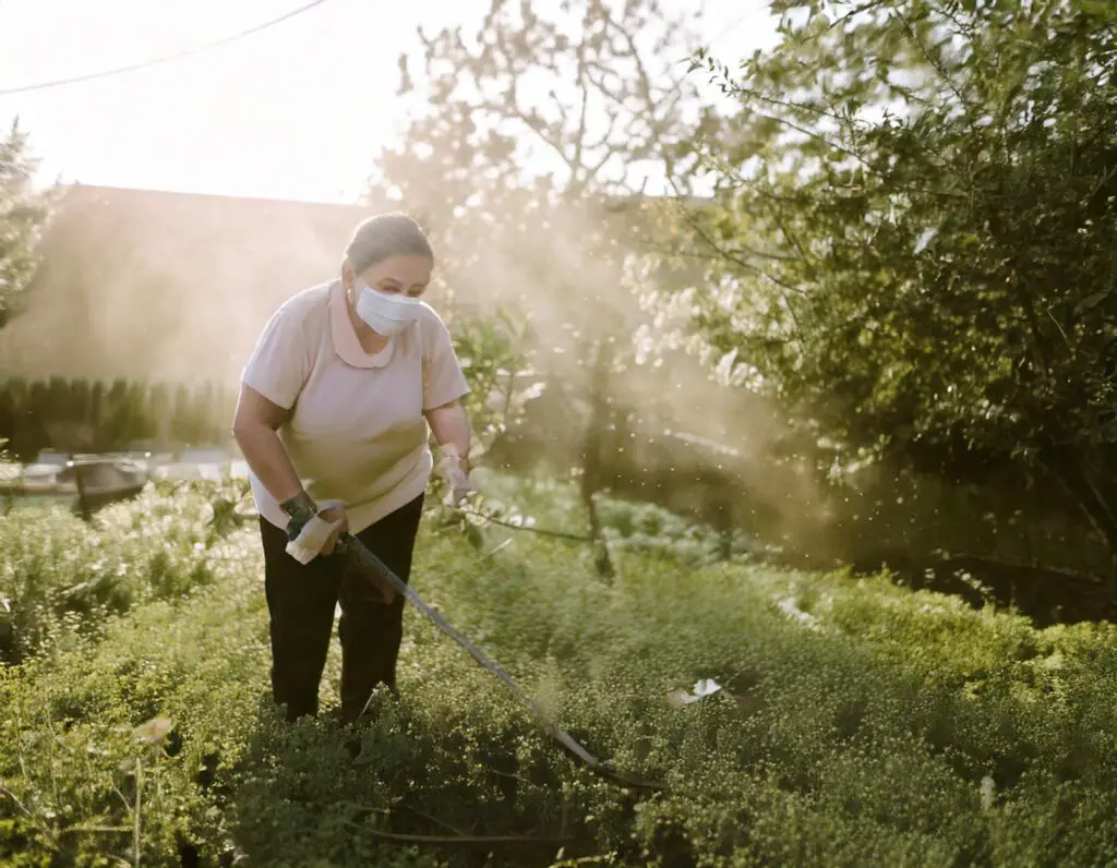 Rising pollen levels in Michigan