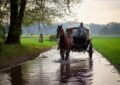 Buggy on Flooded Road