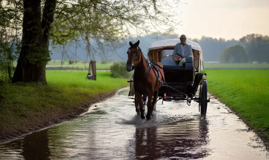 Flood Rescue with a Twist: Amish Man Saves Car with Horse Team – Video