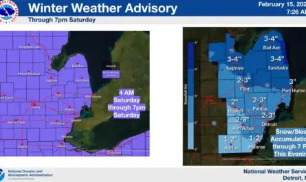 Michigan winter storm