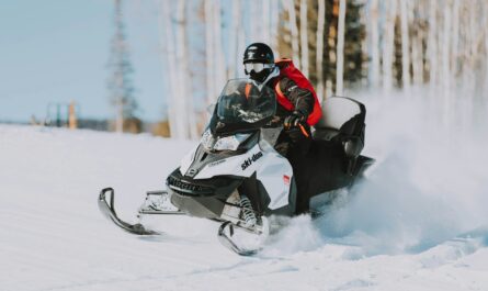 Sanilac County snowmobile crash