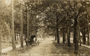 Spring Street, Port Austin Michigan Postcard