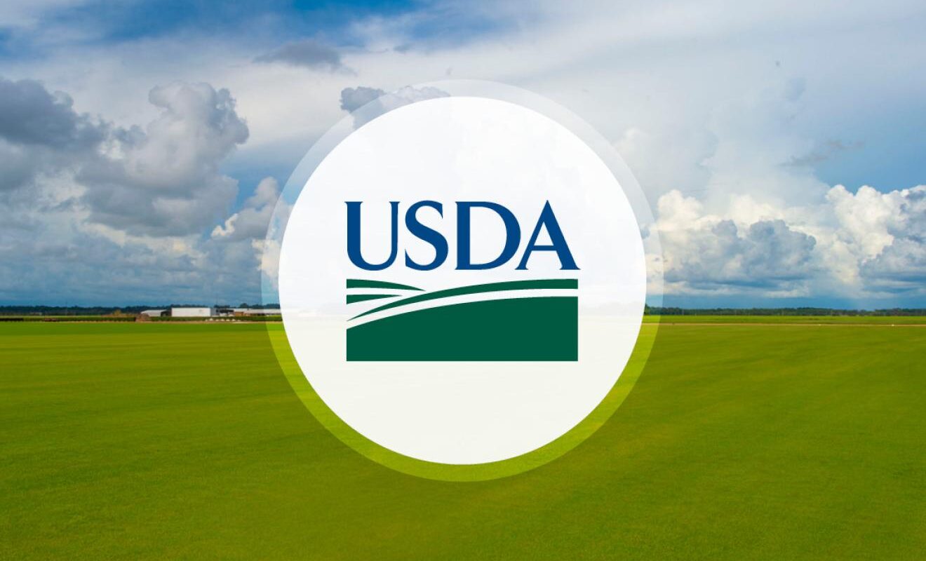 USDA emergency aid