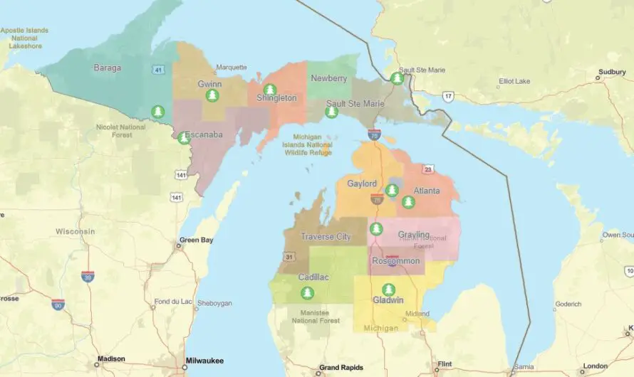 Fuelwood Permits Now Available for Michigan Residents Following Historic Ice Storm