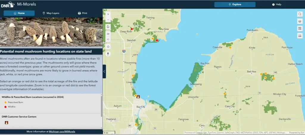 Michigan DNR Morel Map