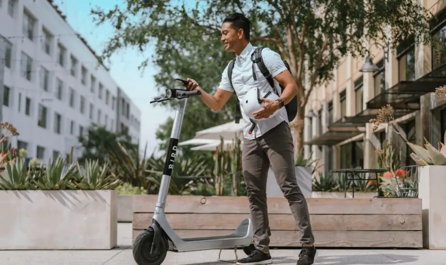 Bird’s Bay City Scooters Exit – Popular Service Ends Amid National Shake-Up