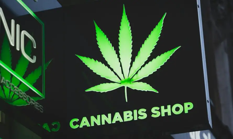 Blunt Truth – Cannabis Job Fair in Detroit Offers Fast Hiring and New Careers This June