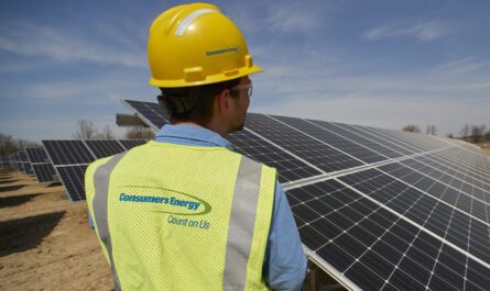 Blackman Solar Gardens