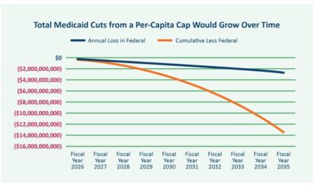 Medicaid Cuts Per Capita