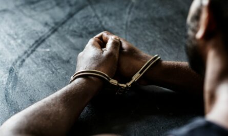 Sanilac meth arrests