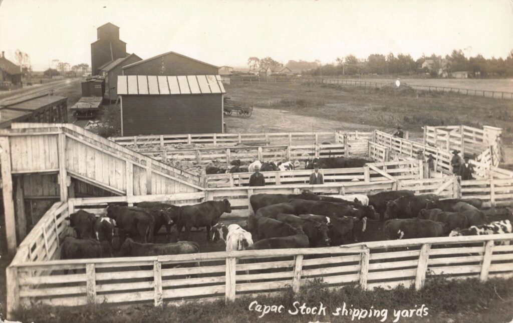 Capac Stockyard