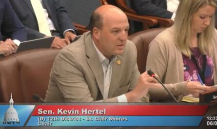Michigan Medicaid cuts