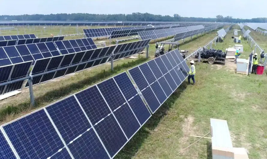 Birch Valley Solar Project in Tuscola County Faces Local Pushback Over Farmland and State Override