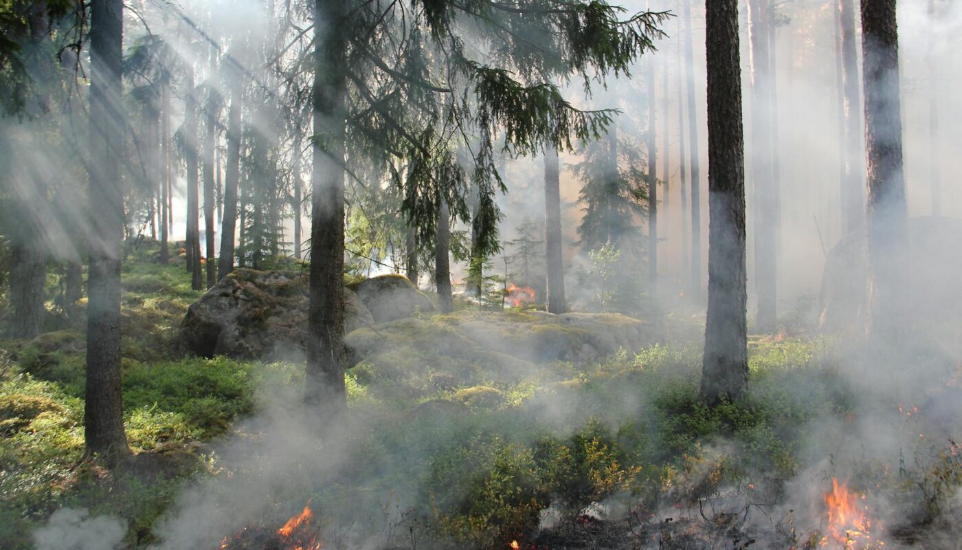 Fire Risk in Michigan